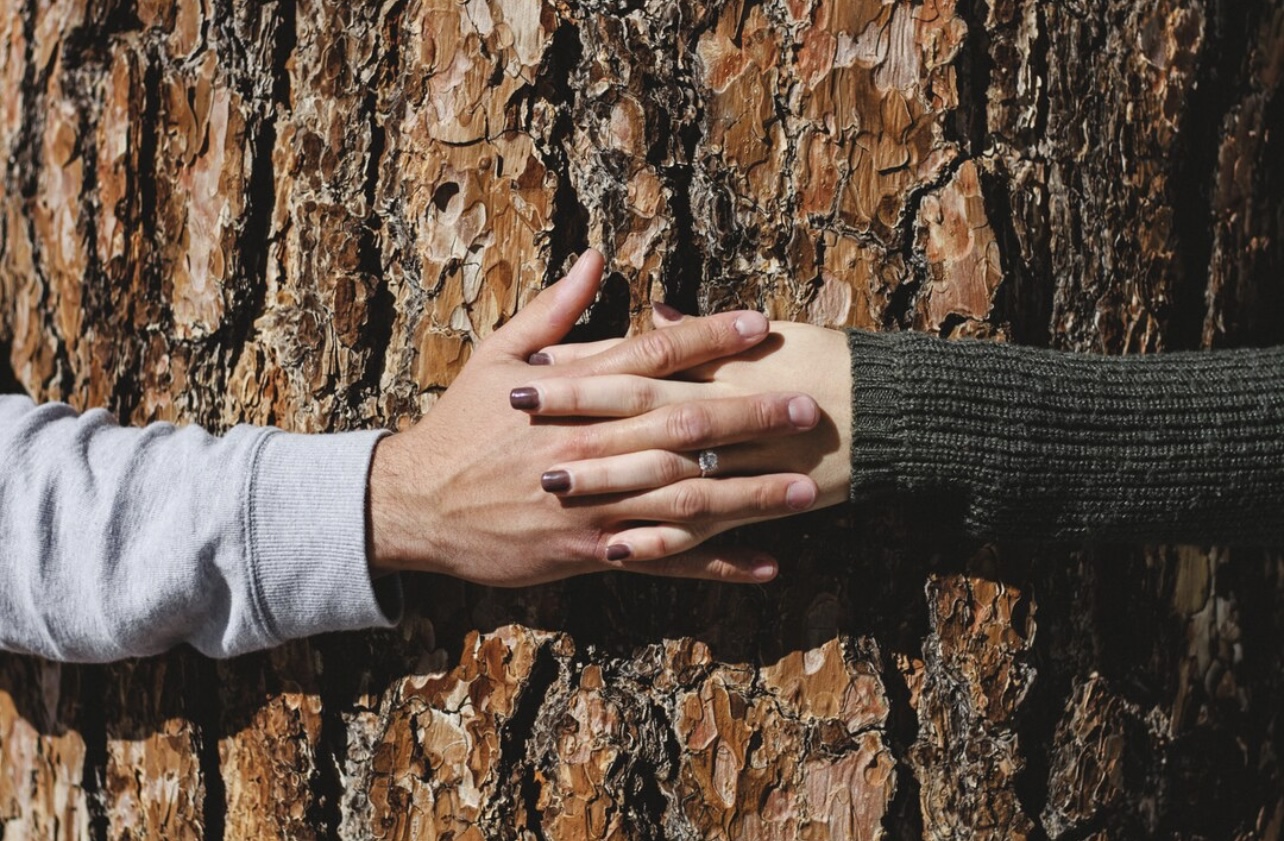 Miért választjuk a kontrollt a bizalom helyett?